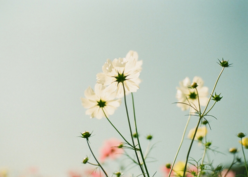 人生说说心情短语 平淡是生活的主线,精彩是人生的点缀 人生说说心情短语 平淡是生活的主线,精彩是人生的点缀