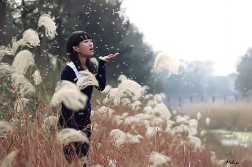 寻常之交与真挚情谊的区别