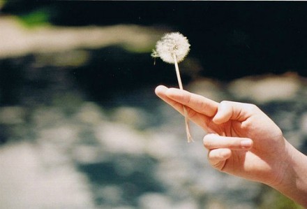 心情平淡的句子 心情平淡的句子