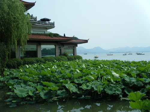 描写西湖的诗句
