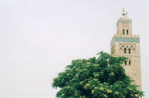 说说带图片 说说带图片