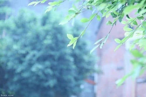 唯美的微信伤感签名 伤感微信说说大全 唯美的微信伤感签名 伤感微信说说大全