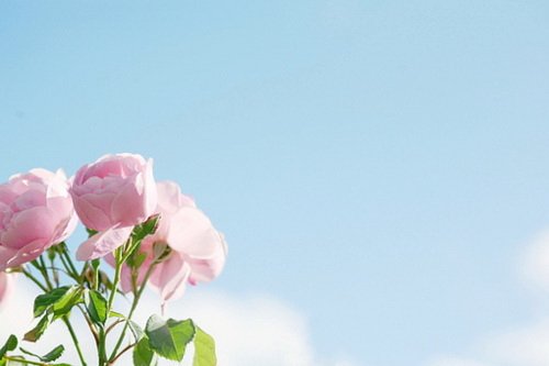 QQ空间发表说说带图片 QQ空间发表说说带图片
