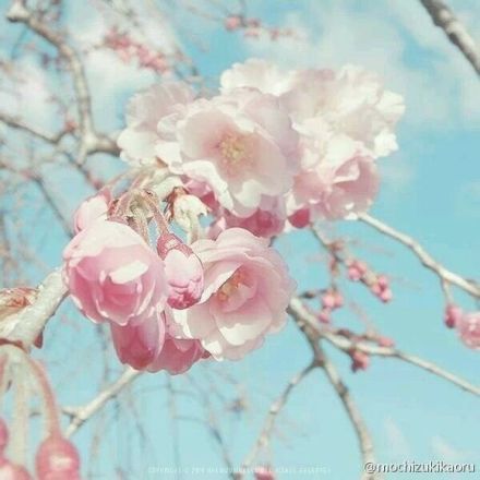 深情伤感的爱情短句集锦