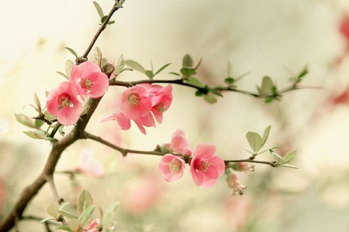 悲伤的爱情句子 悲伤的爱情句子