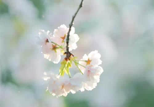 放下痛苦