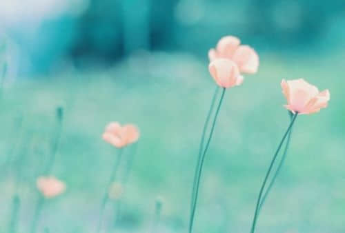 她的夜晚变得漫长而寂静 她的夜晚变得漫长而寂静