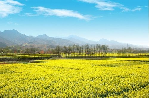 QQ空间悲伤的说说图片 QQ空间悲伤的说说图片