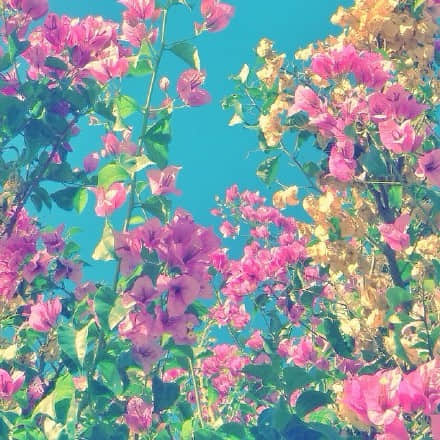 心灵慰藉的语句