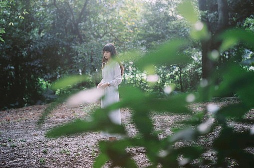 古典风韵佳句