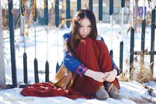 生命的绿叶