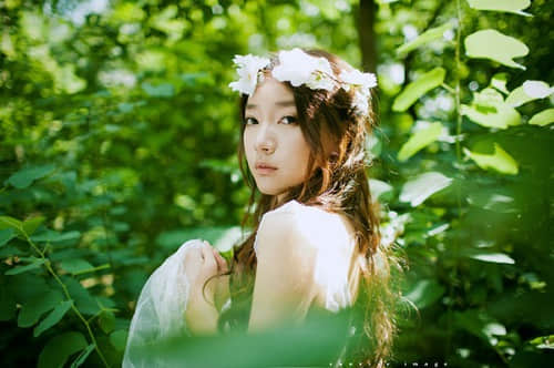 感人唯美的爱情句子 感人唯美的爱情句子