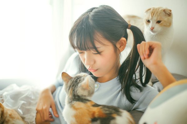 对自己喜欢的人留言句子 对自己喜欢的人留言句子