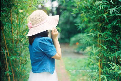 关于情感的深情语录