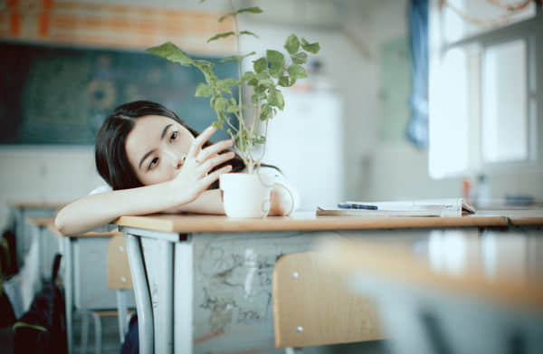 情感语录 情感语录