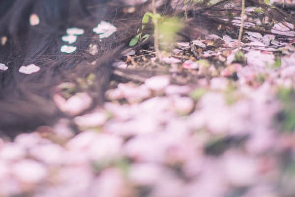 岁月静好，情深似海