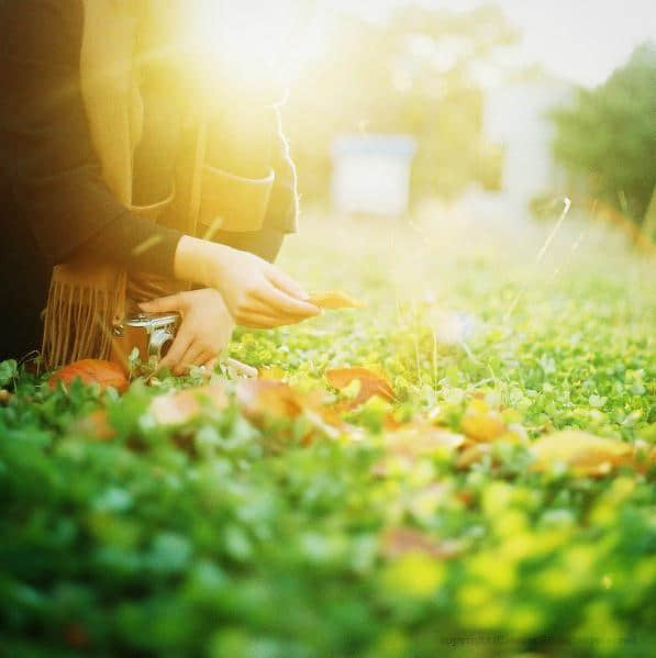 岁月流转中的感悟 岁月流转中的感悟
