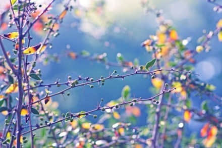 伤感心碎的句子 伤感心碎的句子