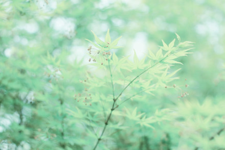 孤独伤感的说说带图片 孤独伤感的说说带图片