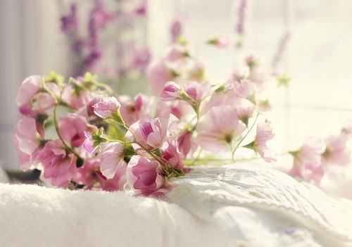 Tender English Phrases Tender English Phrases