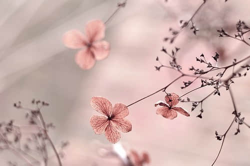 友谊的力量