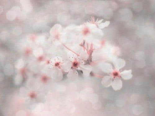 期待见面的句子