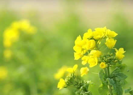 想念爱人的句子 想念爱人的句子