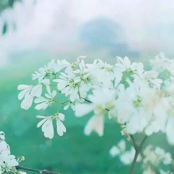 情感低落时的心灵慰藉