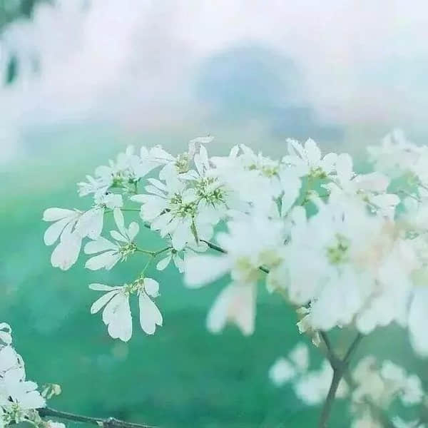 温暖心灵的一句话 温暖心灵的一句话