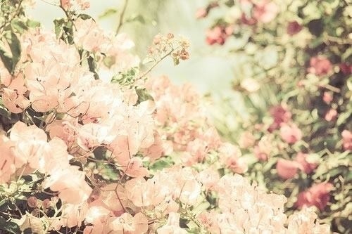 说说图片女生唯美句子 说说图片女生唯美句子