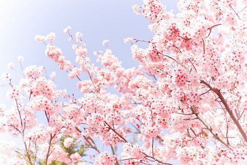 好听的的说说带图片 好听的的说说带图片