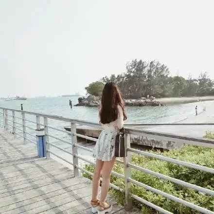 探寻人生道路的智慧