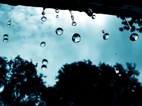雨中漫步 雨中漫步