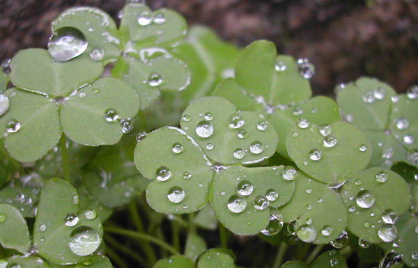 雨中相遇 雨中相遇