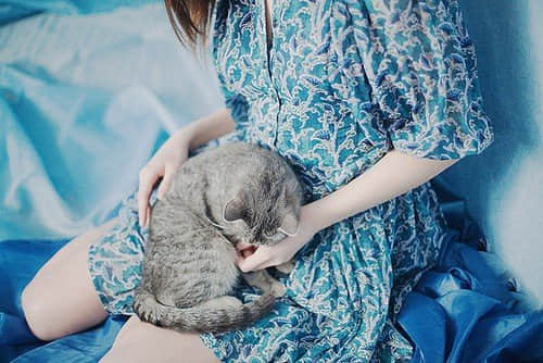 青春岁月里,谁的心不曾轻轻颤动 青春岁月里,谁的心不曾轻轻颤动