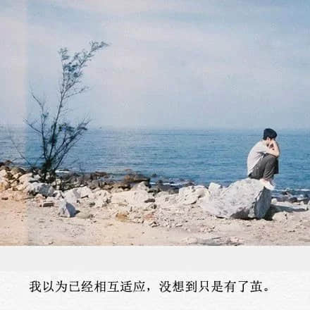 永恒之恋，跨越生死的篇章