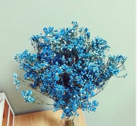 感慨的说说带图片 感慨的说说带图片