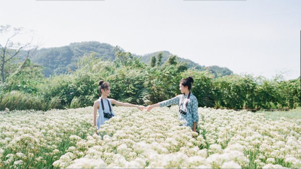 唯美文艺爱情句子 唯美文艺爱情句子