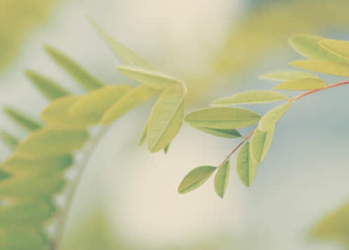 微信里的生活哲学：经济困境中的深刻领悟