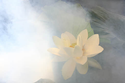 青春里的秘密花园