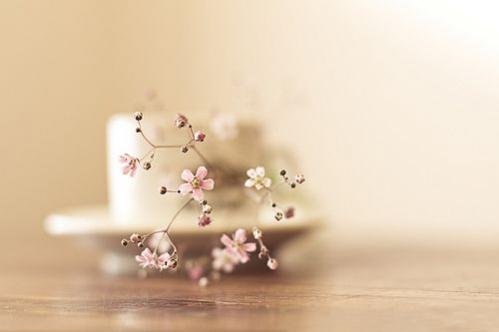 形容感触很深的句子 往事如烟随风逝,也习惯了寂寥 形容感触很深的句子 往事如烟随风逝,也习惯了寂寥