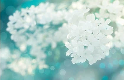关于雪景的句子 关于雪景的句子