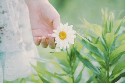 妇女节的祝福