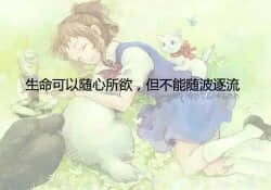 最爱的，不一定是最适合的