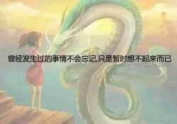 最爱的，不一定是最适合的