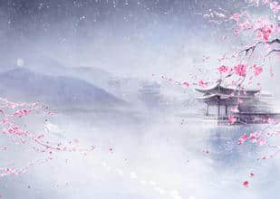 梦绕情思，花影依依