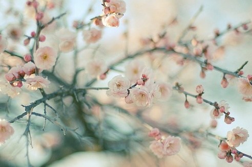 关于母亲节的句子