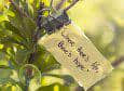 感谢世界,比我梦里的更温暖 感谢世界,比我梦里的更温暖
