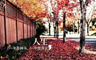 世间万物，皆无定数