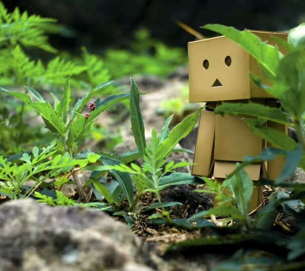 回首，便是画卷